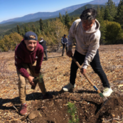 SOS Outreach Youth planting trees outside