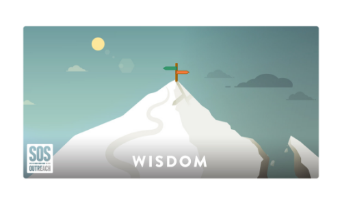 Wisdom Infographic, an SOS Outreach value